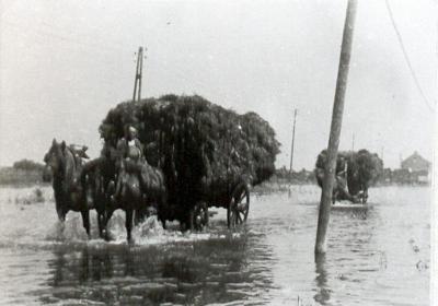 Boerenleven tijdens WOII