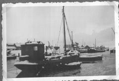 Visserskotter in de haven van Doel