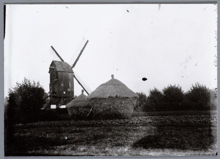 Bontinckmolen, Lokeren