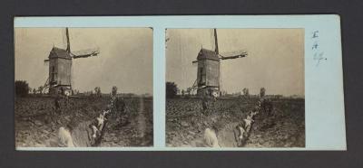 Stereobeeld Gustaaf Drossens, Lion Belge: leggen van een telefoonkabel aan den molen van Zuidhuis (mei 1918)